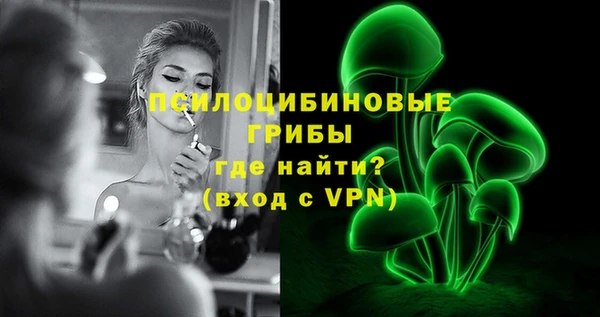 гидропоника Медвежьегорск