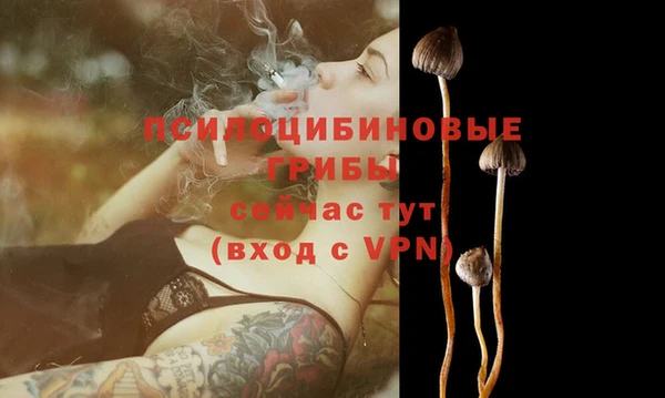 винт Мегион