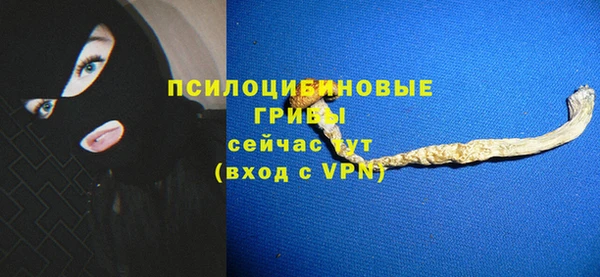 эйфоретик Михайлов