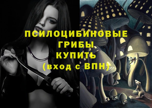эйфоретик Михайлов
