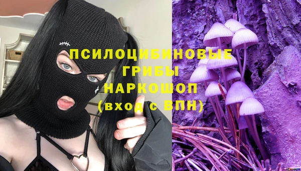 прущие грибы Арсеньев