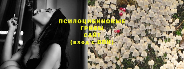 винт Мегион