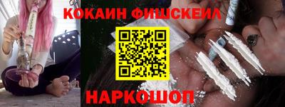 индика Камышлов