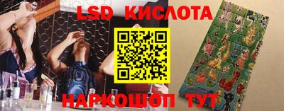 индика Камышлов
