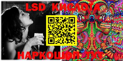 индика Камышлов