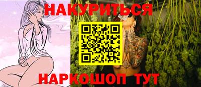 индика Камышлов