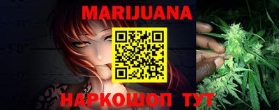 индика Камышлов