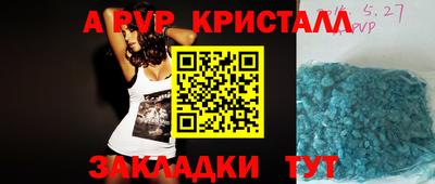 индика Камышлов