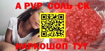индика Камышлов