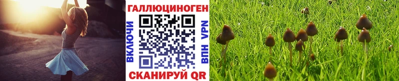 Галлюциногенные грибы мицелий  закладки  Мирный 